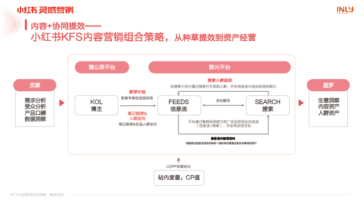 小红书、-11.jpg